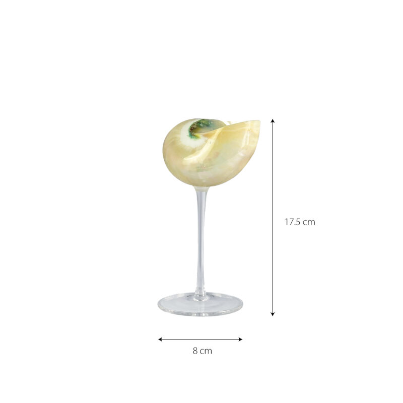 Personalized design natural conch wedding wine glass shell martini cup conch shell stemware - Image 3