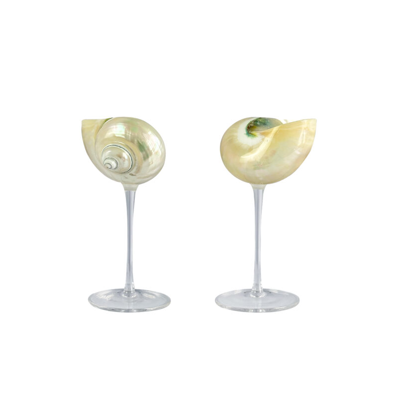 Personalized design natural conch wedding wine glass shell martini cup conch shell stemware - Image 4